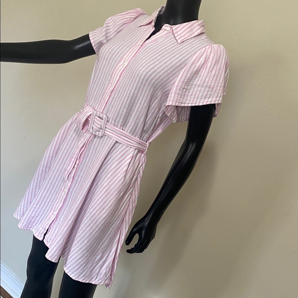 Alexis Pink and White Striped Button Mini Dress - Picture 6 of 14